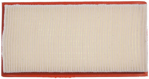 Filtro Aire Mahle Lx 2919